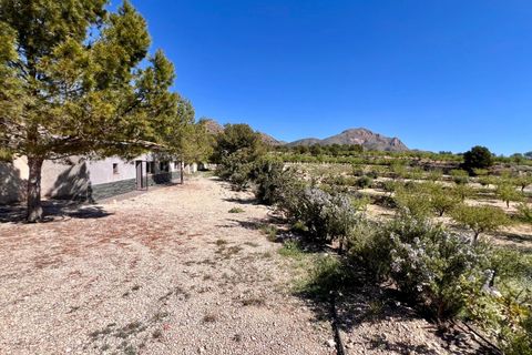 Cave house i Barinas, Murcia, Barinas - € 119.000 | Ref: 68072 - foto 16