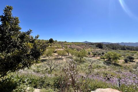 Cave house i Barinas, Murcia, Barinas - € 119.000 | Ref: 68072 - foto 17