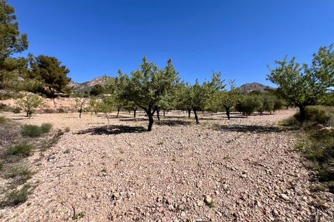 Cave house i Barinas, Murcia, Barinas - € 119.000 | Ref: 68072 - foto 18