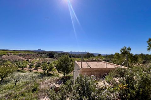 Cave house i Barinas, Murcia, Barinas - € 119.000 | Ref: 68072 - foto 19