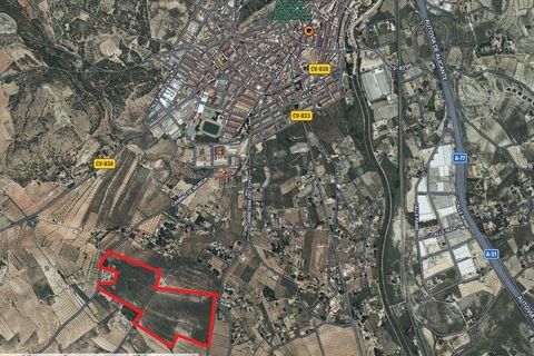 Helårsgrund i Sax, Alicante, Sax - € 1.200.000 | Ref: 11463 - foto 14