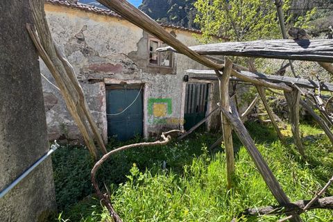 Villa i Camara de Lobos, Madeira, Camara de Lobos - € 140.000 | Ref: CT-1888/2026 - foto 5