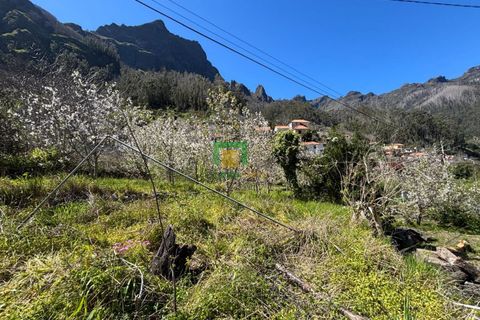 Villa i Camara de Lobos, Madeira, Camara de Lobos - € 140.000 | Ref: CT-1888/2026 - foto 6