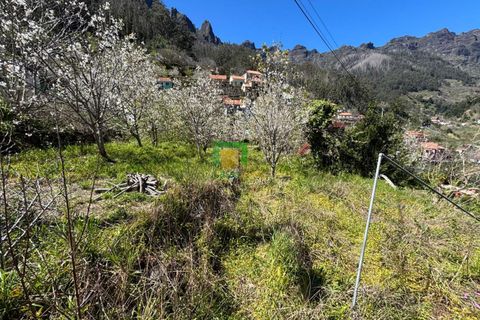 Villa i Camara de Lobos, Madeira, Camara de Lobos - € 140.000 | Ref: CT-1888/2026 - foto 8