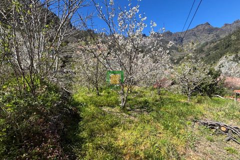 Villa i Camara de Lobos, Madeira, Camara de Lobos - € 140.000 | Ref: CT-1888/2026 - foto 10