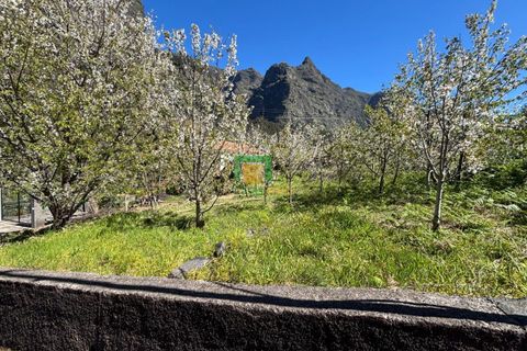 Villa i Camara de Lobos, Madeira, Camara de Lobos - € 140.000 | Ref: CT-1888/2026 - foto 11