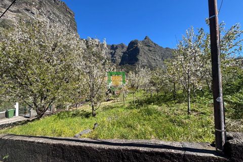 Villa i Camara de Lobos, Madeira, Camara de Lobos - € 140.000 | Ref: CT-1888/2026 - foto 13