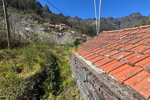 Villa i Camara de Lobos, Madeira, Camara de Lobos - € 140.000 | Ref: CT-1888/2026 - foto 14