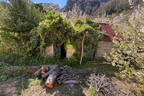 Villa i Camara de Lobos, Madeira, Camara de Lobos - € 140.000 | Ref: CT-1888/2026 - foto 17