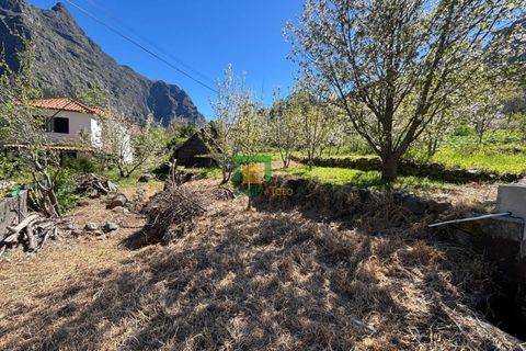 Villa i Camara de Lobos, Madeira, Camara de Lobos - € 140.000 | Ref: CT-1888/2026 - foto 18