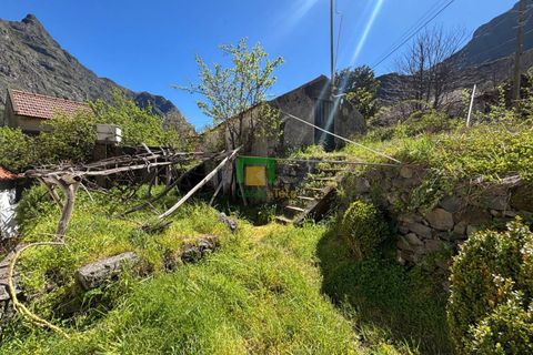 Villa i Camara de Lobos, Madeira, Camara de Lobos - € 140.000 | Ref: CT-1888/2026 - foto 20