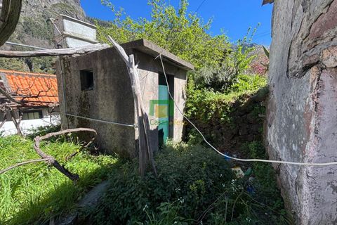 Villa i Camara de Lobos, Madeira, Camara de Lobos - € 140.000 | Ref: CT-1888/2026 - foto 21