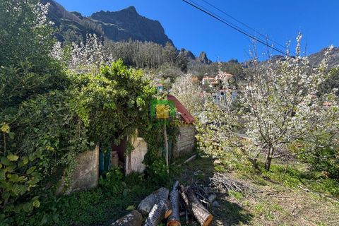 Villa i Camara de Lobos, Madeira, Camara de Lobos - € 140.000 | Ref: CT-1888/2026 - foto 22