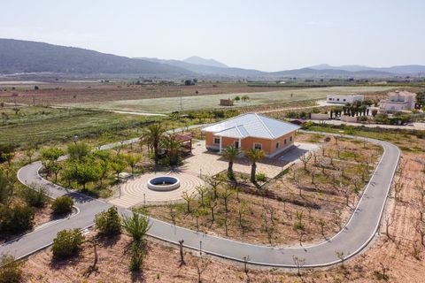 Villa i Pinoso, Alicante, Pinoso - € 650.000 | Ref: CF3326 - foto 5