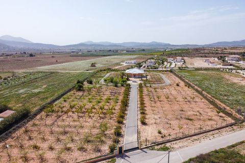 Villa i Pinoso, Alicante, Pinoso - € 650.000 | Ref: CF3326 - foto 41