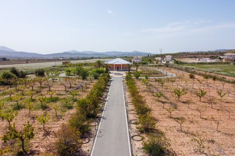 Villa i Pinoso, Alicante, Pinoso - € 650.000 | Ref: CF3326 - foto 42