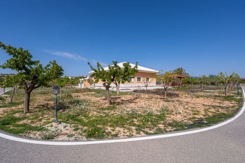 Villa i Pinoso, Alicante, Pinoso - € 650.000 | Ref: CF3326 - foto 43