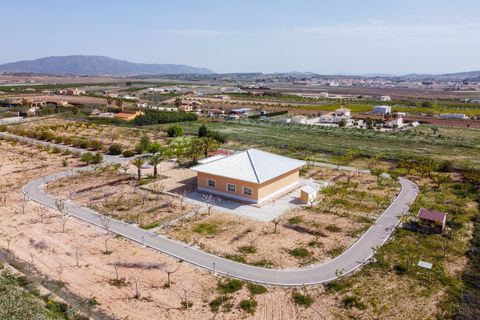 Villa i Pinoso, Alicante, Pinoso - € 650.000 | Ref: CF3326 - foto 44