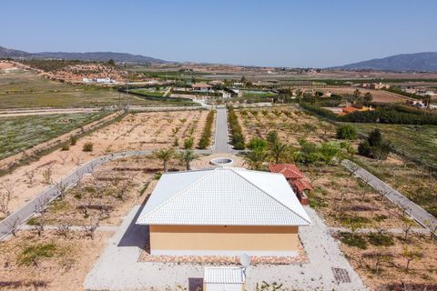 Villa i Pinoso, Alicante, Pinoso - € 650.000 | Ref: CF3326 - foto 45