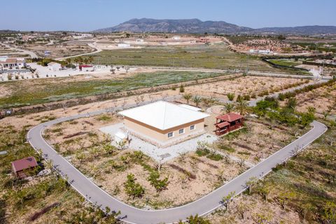 Villa i Pinoso, Alicante, Pinoso - € 650.000 | Ref: CF3326 - foto 46