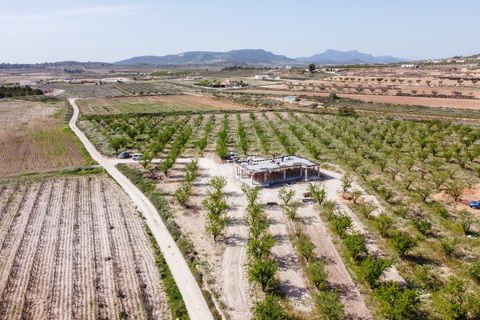 Villa i Pinoso, Alicante, Pinoso - € 425.000 | Ref: CF3325 - foto 16