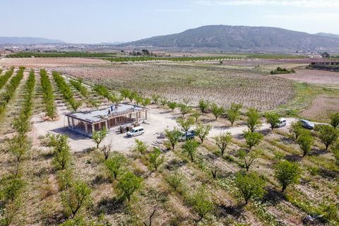 Villa i Pinoso, Alicante, Pinoso - € 425.000 | Ref: CF3325 - foto 17