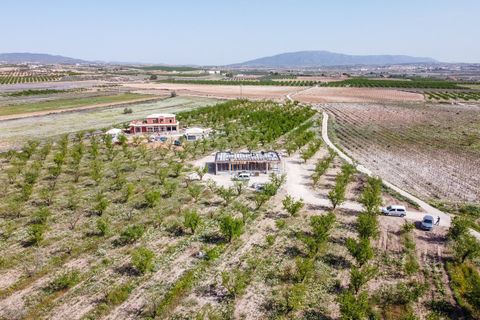 Villa i Pinoso, Alicante, Pinoso - € 425.000 | Ref: CF3325 - foto 18