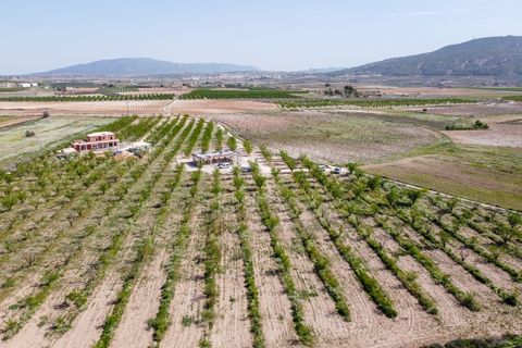 Villa i Pinoso, Alicante, Pinoso - € 425.000 | Ref: CF3325 - foto 19