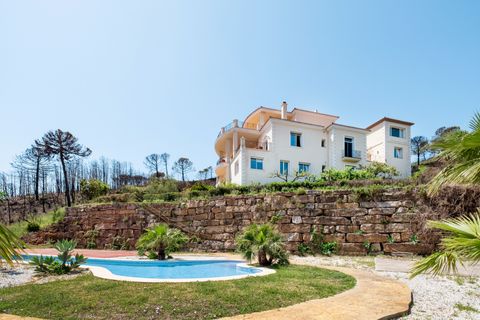 Finca Esteponassa, Malaga - kuva 2