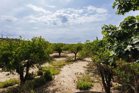 Terra a Antas, Almeria, Antas - € 130.000 | Ref: 3243-04958 - foto 5