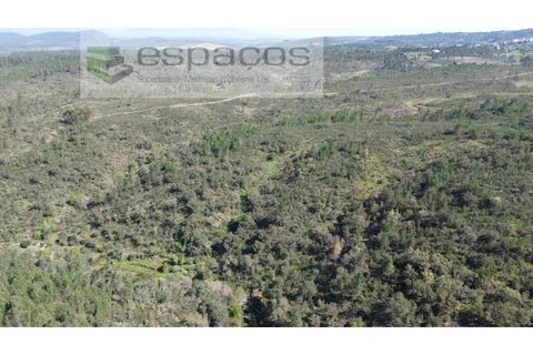 Helårsgrund i Castelo Branco, Castelo Branco, Castelo Branco - € 9.750 | Ref: 5521/EG - foto 2