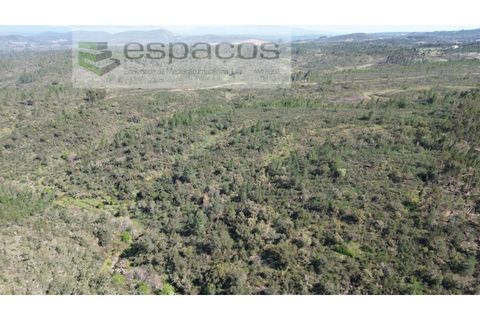 Helårsgrund i Castelo Branco, Castelo Branco, Castelo Branco - € 9.750 | Ref: 5521/EG - foto 3