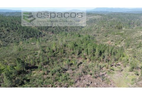 Helårsgrund i Castelo Branco, Castelo Branco, Castelo Branco - € 9.750 | Ref: 5521/EG - foto 5