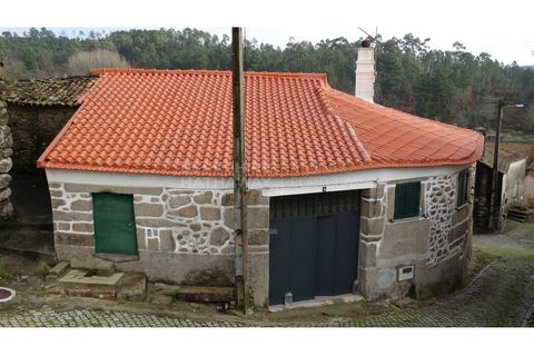 Landejendom i Antas e Matela, Viseu, Antas e Matela - € 90.000 | Ref: CAS_1338 - foto 2