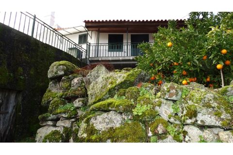 Landejendom i Antas e Matela, Viseu, Antas e Matela - € 90.000 | Ref: CAS_1338 - foto 5
