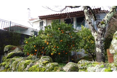 Landejendom i Antas e Matela, Viseu, Antas e Matela - € 90.000 | Ref: CAS_1338 - foto 6