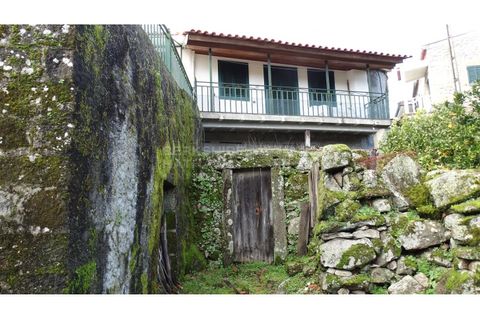 Landejendom i Antas e Matela, Viseu, Antas e Matela - € 90.000 | Ref: CAS_1338 - foto 9