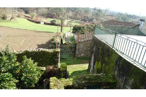 Landejendom i Antas e Matela, Viseu, Antas e Matela - € 90.000 | Ref: CAS_1338 - foto 19