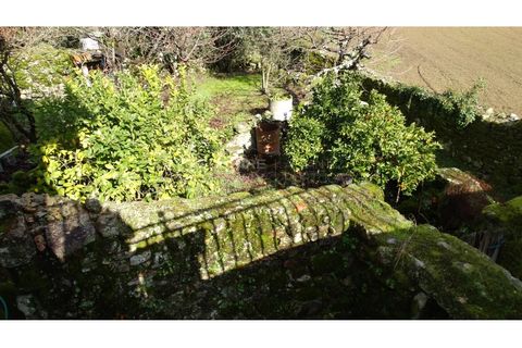 Landejendom i Antas e Matela, Viseu, Antas e Matela - € 90.000 | Ref: CAS_1338 - foto 22