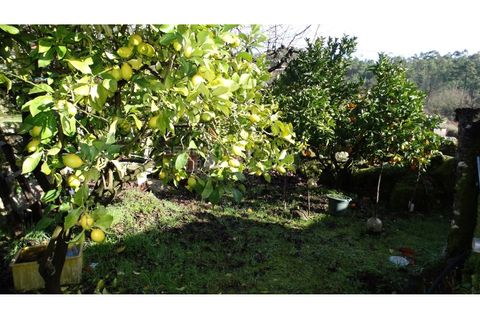 Landejendom i Antas e Matela, Viseu, Antas e Matela - € 90.000 | Ref: CAS_1338 - foto 25