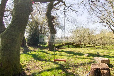 Landejendom i Vilalba, Lugo, Vilalba - € 235.000 | Ref: 1195 - foto 6