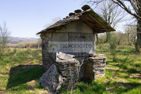 Landejendom i Vilalba, Lugo, Vilalba - € 235.000 | Ref: 1195 - foto 24