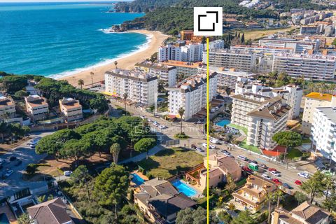 Helårsgrund i Lloret De Mar, Gerona, Lloret De Mar - € 650.000 | Ref: CBR67725 - foto 6
