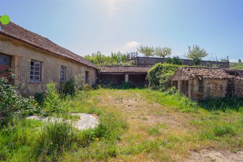 Farm i Covilha, Castelo Branco, Covilha - € 99.500 | Ref: C9713 - foto 1