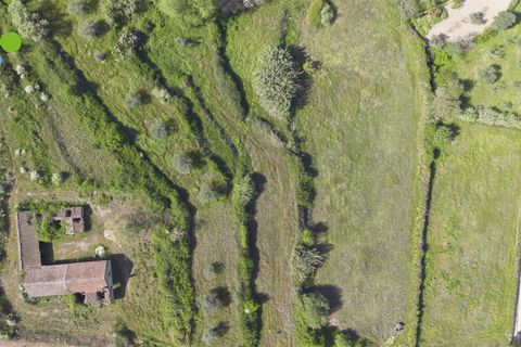 Farm i Covilha, Castelo Branco, Covilha - € 99.500 | Ref: C9713 - foto 3
