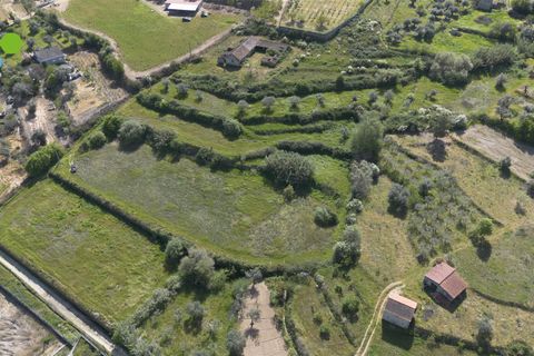 Farm i Covilha, Castelo Branco, Covilha - € 99.500 | Ref: C9713 - foto 4