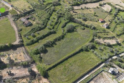 Farm i Covilha, Castelo Branco, Covilha - € 99.500 | Ref: C9713 - foto 5