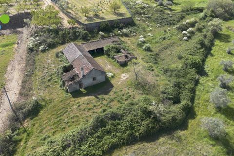 Farm i Covilha, Castelo Branco, Covilha - € 99.500 | Ref: C9713 - foto 6