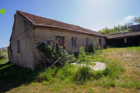 Farm i Covilha, Castelo Branco, Covilha - € 99.500 | Ref: C9713 - foto 7