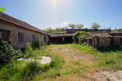 Farm i Covilha, Castelo Branco, Covilha - € 99.500 | Ref: C9713 - foto 8